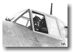 Danish volunteer Lt. Erhard Frijs