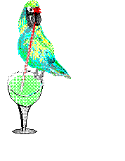 Wasted Away Again In Margaritaville