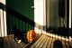 First Pumpkin