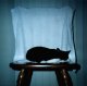 Sleepy Chair Kitty