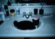 Sink Kitty