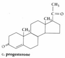 struttura della molecola di progesterone