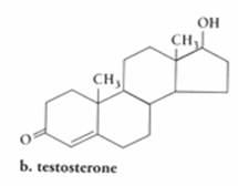 struttura della molecola di testosterone