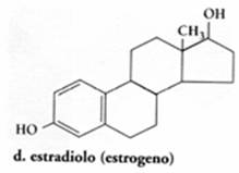 struttura della molecola di estradiolo