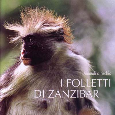 foto di una scimmia dal veleno, il folletto di Zanzibar, animale a rischio