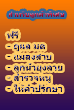 �Ѻ��ԡ�û�֡������ͧ�� ˹� ��ŧ�Һ ��л�ǡ