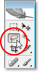 Description: Selecting the Lasso tool from Photoshop's Tools palette.