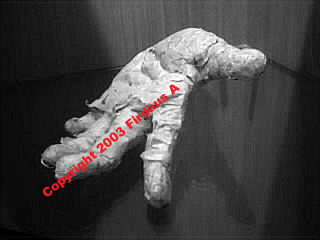 Hand