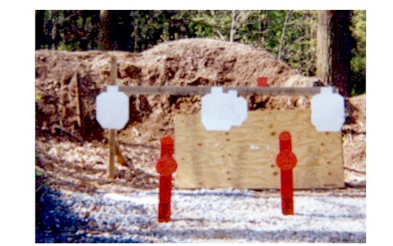 ipsc1.jpg (44355 bytes)