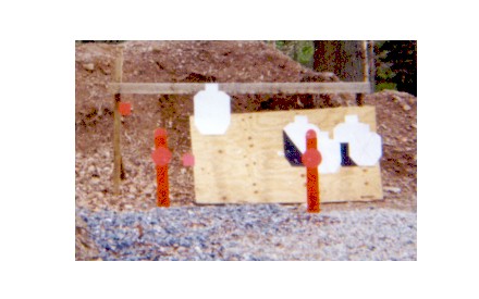 ipsc2.jpg (29275 bytes)