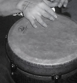 Matt playing bongo during 'Boulevard of Broken Dreams'