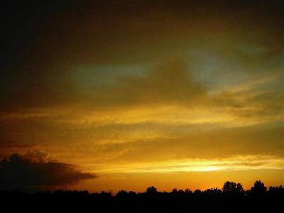 Taken at our home in Panola County