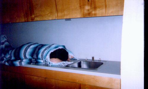Tam .. Fast Asleep... 