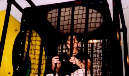 Tam in a Net