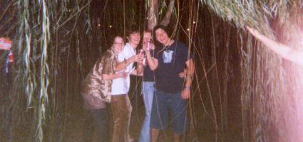 Under The Willow