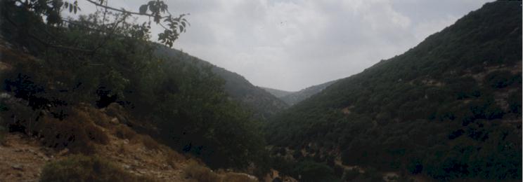 A Valley in Northern Israel