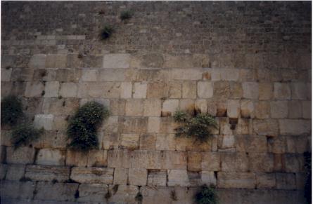 Close up of the Western Wall