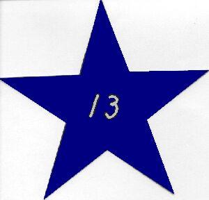 Table 13