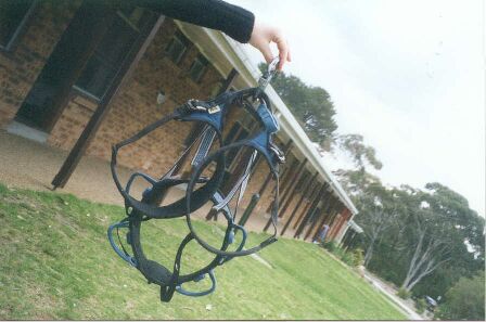 Harness of Art