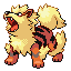Oleander the Arcanine
