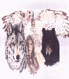 Galleria - firecw3.gif