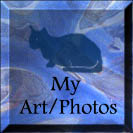 My Misc. Art and Photos