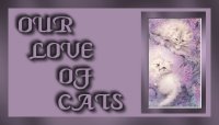 catspawsbutton1.jpg