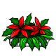 Poinsettia Basket