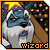 Wizard