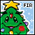 fir