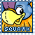 Squawk