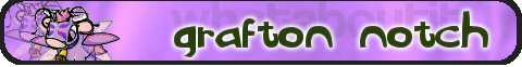 about grafton notch guild