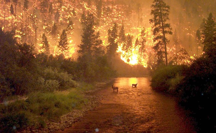 montfire