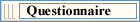 Questionnaire
