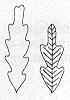s42.jpg (1491 bytes)