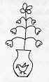s48.jpg (1683 bytes)