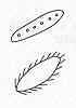s49.jpg (1199 bytes)