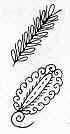 s51.jpg (2068 bytes)