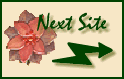 ringnext.gif (4457 bytes)
