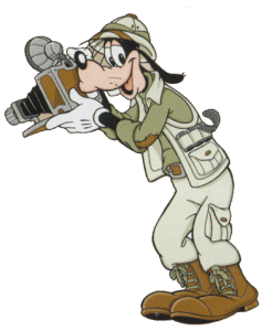 Goofy taking photo