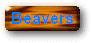 Beavers