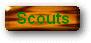 Scouts