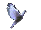 Click Me to FLY back to the Home Page