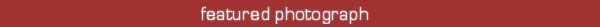 featured photo