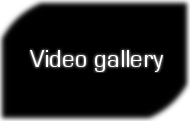YouTube Channel