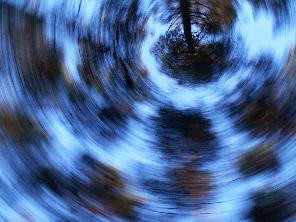 treetops