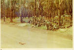 Last minute check before starting out on a mission from Lai Khe basecamp