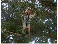 Monkey Bridge