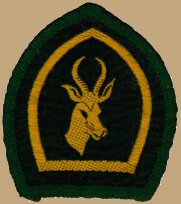 Springbok Scout Award