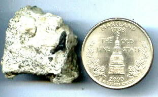 Tooth in Matrix